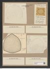 Stictodiscus sp. (de-Toni-Nr.: Genus 205) Zeichnungen Sammlung Grunow Nr. 9071 (NHMW-BOT-W0378820)